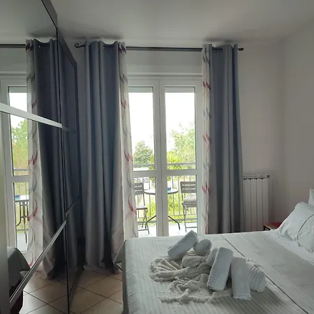 Vera Nr1 * Alexandrie